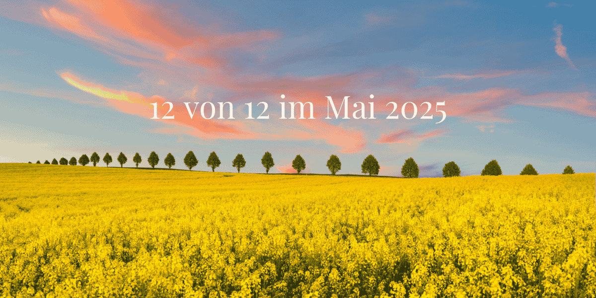 12 von 12 Bilder 2025