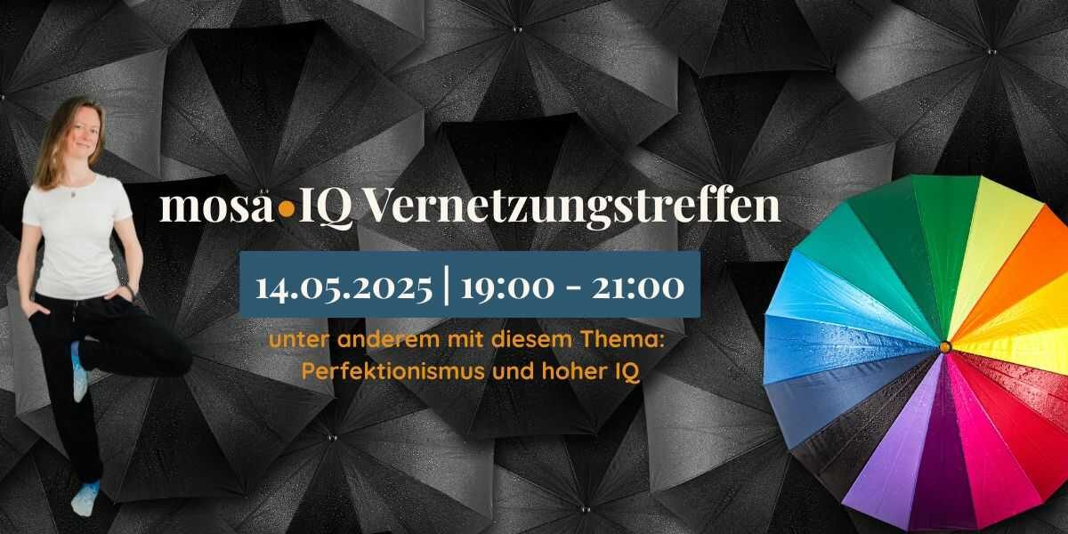 mosa-IQ-Vernetzungstreffen-15-Mai-2025