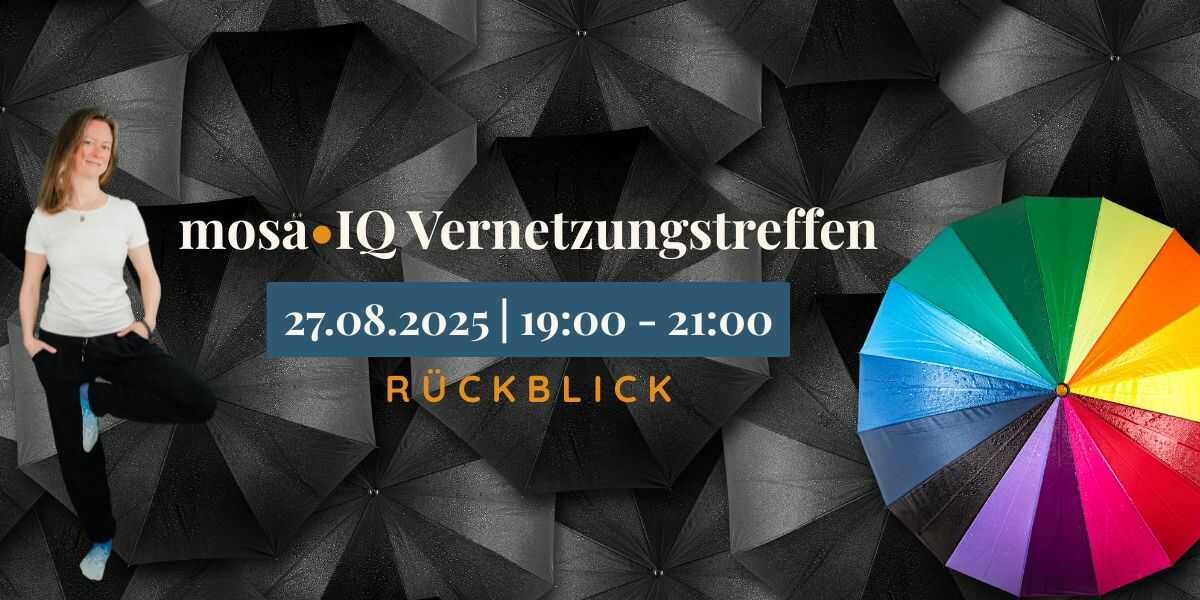 MosaIQ-Vernetzungstreffen-Rueckblick-August-2025