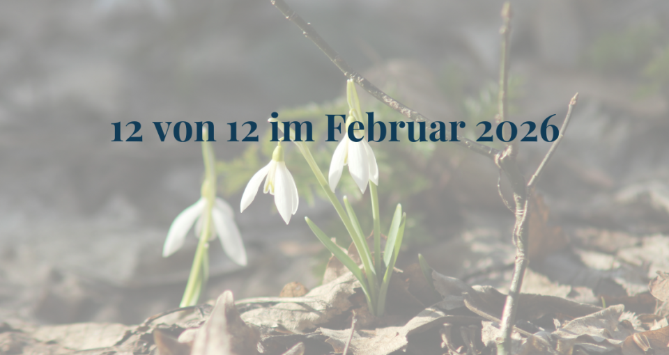 12von12_Februar 2026